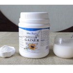 蛋白粉源头工厂-温斯顿增重蛋白膳食补充剂免疫促进剂增重分离乳清