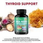 Children Vitamin Gummies Manufacturer - OEM Custom Kids Supplement