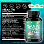 Children Vitamin Gummies Manufacturer - OEM Custom Kids Supplement