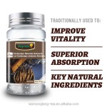 Pure Cordyceps Softgel Manufacturer - OEM 500mg Mushroom Extract Capsule