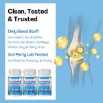 Glucosamine Capsules Manufacturer - OEM Joint Support Chondroitin MSM