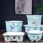 Chinese Ceramic Bonsai Pot - Large Rectangular Drainage Saucer Indoor Outdoor Tool