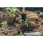 Biodegradable Seed Pot - 8cm Fiber Peat with Seed Garden Plant Growth Tool