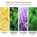 Quit Smoking Inhaler - Wooden Essential Oil Diffuser 5 Blank Cotton Wicks Tool