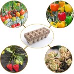 Seed Starter Tray Kit - Biodegradable Pot Seedling Germination Garden Plant Tool