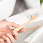 Bamboo Toothbrush - BPA-Free Nylon Bristle Natural Dental Care Oral Tool