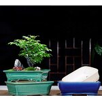 Ceramic Bonsai Pot - Large Chinese Style Garden Outdoor Indoor Flower Planter