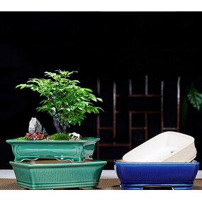 Ceramic Bonsai Pot - Large Chinese Style Garden Outdoor Indoor Flower Planter
