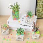 Glow in the Dark Stone - Wholesale 4.5cm Luminous Pebble Outdoor Garden Decor