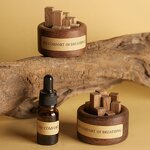 2024 Car Diffuser - Essential Oil Vent Clip Aromatherapy Sleep Aid Indoor Tool