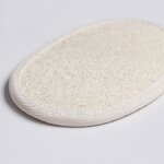 Loofah Sponge Pad - Modern Natural Exfoliating Shower Body Scrubber Tool