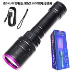 365nm UV Flashlight - High Power USB Rechargeable Black Light Ultraviolet Tool