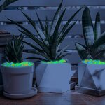 Glow in the Dark Stone - Wholesale 4.5cm Luminous Pebble Outdoor Garden Decor