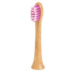 Ningbo Yinzhou Yangshuo Trading Co., Ltd .