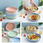 Wheat Straw Plate - Eco-Friendly Degradable Reusable Picnic Party Dish Tool