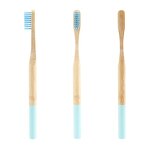 Bamboo Toothbrush - Eco-friendly Travel Biodegradable with Holder Dental Tool