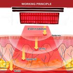 Red Light Therapy Belt Manufacturer - Large Wearable Wrap Pads 660nm 850nm Infrared for Back