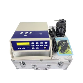 Ionic Foot Detox Machine - Professional Wholesale Portable Dual Ion Cleanse Spa Tool