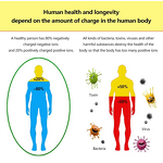 Ionic Foot Detox Machine - Professional Wholesale Portable Dual Ion Cleanse Spa Tool