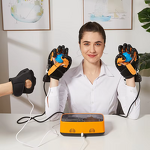 Dual Hand Rehabilitation Gloves - Both Hands Stroke Hemiplegia Intelligent Massage Tool