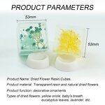 Resin Paperweight - Real Flower Specimen Kids Party Favors Novelty Gift Tool