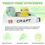 Resin Paperweight - Real Flower Specimen Kids Party Favors Novelty Gift Tool