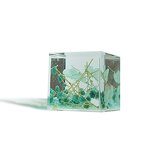 Resin Paperweight - Preserved Flower Cube Office Home Decor Novelty Craft Tool