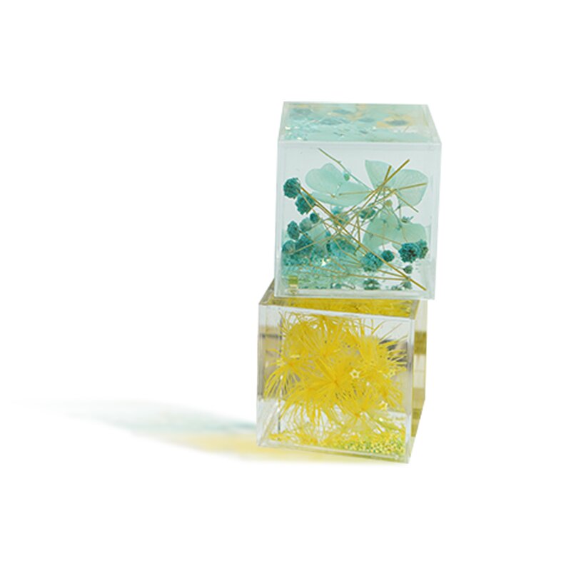 Resin Paperweight - Dried Floral Specimen Home Wedding Decoration Craft Tool