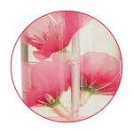 Resin Shift Knob - High Quality Real Flower JDM 10CM Gear Stick Handle Tool