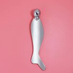 facial Massage Tool