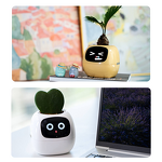 USB Pet Planter - Automatic Water Absorption Plastic Resin Vase Intelligent Gift