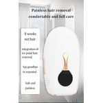 Portable IPL Laser Device - Facial Pigment Removal Hair Remover for Gift