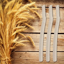 Eco Eyebrow Trimmer Factory - Wheat Straw Biodegradable Facial Razor