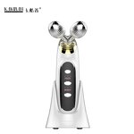 Y Shape 3D Face Roller - EMS RF Micro Vibrating Body Facial Lift Tool