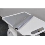 Beauty Machine Trolley - 2022 Newest Device Stand Bearing Cart