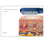 Hair Comb Manufacturer - 2023 New Beauty Laser Vibration Electric Anti-Hair Loss with Phototherapy LED & Oil Applicator