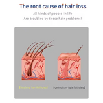 Hair Comb Manufacturer - 2023 New Beauty Laser Vibration Electric Anti-Hair Loss with Phototherapy LED & Oil Applicator