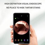 Ultrasonic Electric Toothbrush - Tartar Remover Sonic Dental Scaler Kit