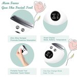 Facial Beauty Device