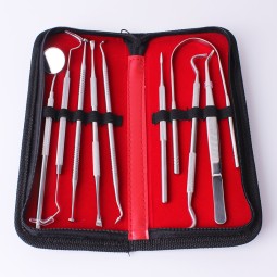 牙科工具套装源头工厂-独特设计不锈钢刮治器牙齿护理卫生套装