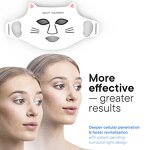 Led Beauty Face Mask Manufacturer - Home Wholesale Wireless Infrared Home Use Led Mask Light Therapy Led Facial Masks