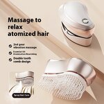 Detangling Hair Brush Manufacturer - Latest Electric with Scalp Massage Comb Vibration & Atomized Hair Oil Spray Mist Stimulator