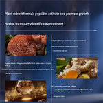 Hair Growth Oil - Regrowth Lavar Rosemary Onion Coconut Anti Loss Fast