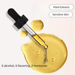 Onion Hair Growth Oil - Spring Tree 50ml Ayurvedic Rosemary Banana Chebe