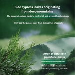 Platycladus Hair Shampoo Soap - Nature Green Triangle Oil Control Anti-Dandruff