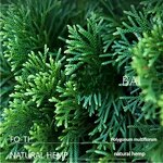 Hair Shampoo Set - 2025 Wholesale Repairs Strengthens Color Fluffy Women