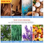 Unisex Roll-On Deodorant - 2024 Natural Organic Long Lasting Fragrance