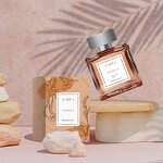 Original Perfumes - Discount Wholesale Fragrance for Men Women