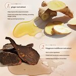 Sulfate-Free Hair Shampoo - 500ml Smooth Anti-Dandruff Nourishing Care