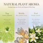 Tea Tree Body Scrub - Custom 500ml Whitening Sensitive Skin Face Body